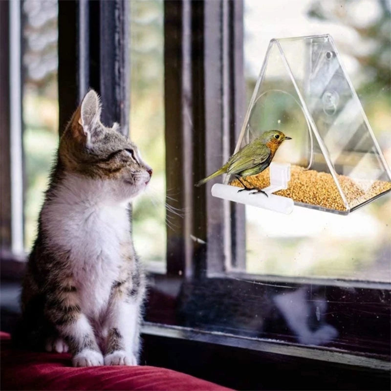 Window Bird Feeder